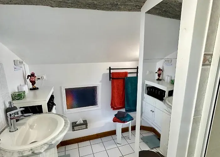 La Berlandiere Un Petit Coin De Paradis * Taillant